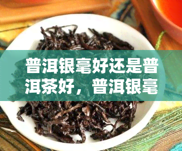 普洱银毫好还是普洱茶好，普洱银毫与普洱茶：哪种更好？