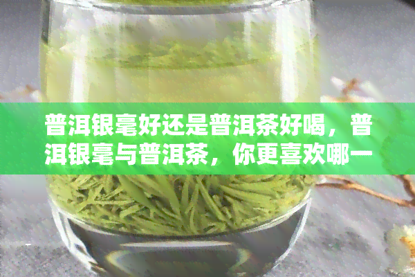 普洱银毫好还是普洱茶好喝，普洱银毫与普洱茶，你更喜欢哪一种的口感？