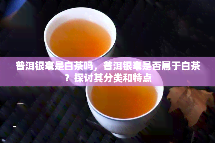 普洱银毫是白茶吗，普洱银毫是否属于白茶？探讨其分类和特点