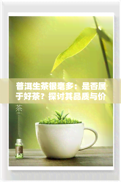 普洱生茶银毫多：是否属于好茶？探讨其品质与价值