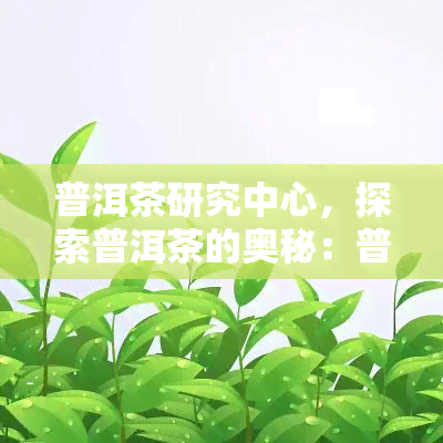 普洱茶研究中心，探索普洱茶的奥秘：普洱茶研究中心的研究与发现