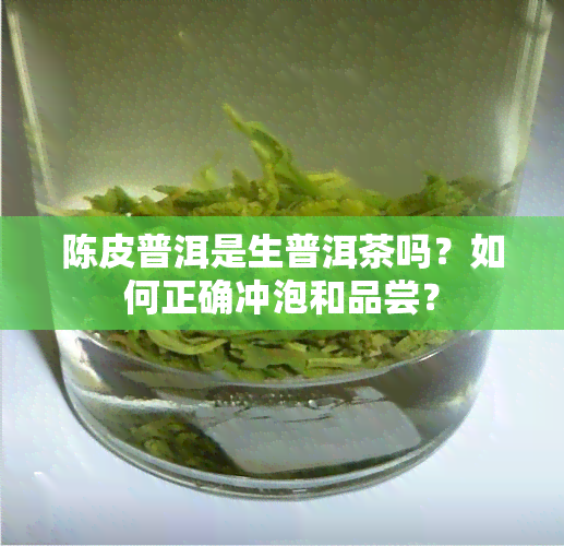 陈皮普洱是生普洱茶吗？如何正确冲泡和品尝？