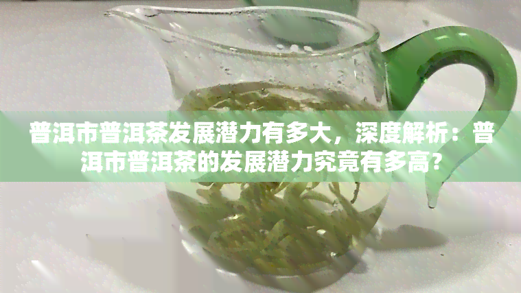 普洱市普洱茶发展潜力有多大，深度解析：普洱市普洱茶的发展潜力究竟有多高？