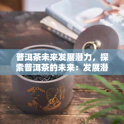 普洱茶未来发展潜力，探索普洱茶的未来：发展潜力与机遇分析