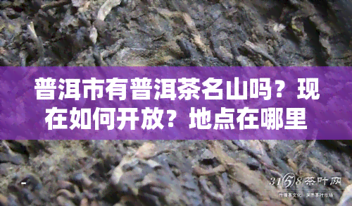 普洱市有普洱茶名山吗？现在如何开放？地点在哪里？