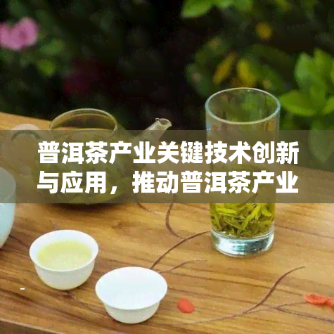 普洱茶产业关键技术创新与应用，推动普洱茶产业发展：关键技术创新与应用的重要性