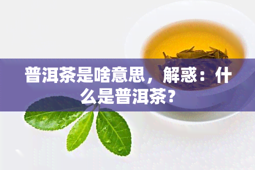 普洱茶是啥意思，解惑：什么是普洱茶？