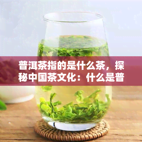 普洱茶指的是什么茶，探秘中国茶文化：什么是普洱茶？