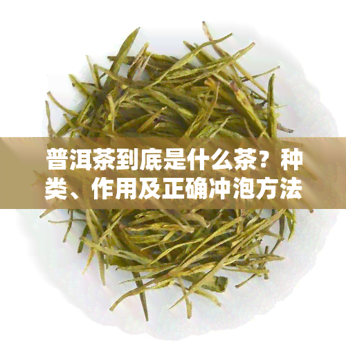 普洱茶到底是什么茶？种类、作用及正确冲泡方法全解析