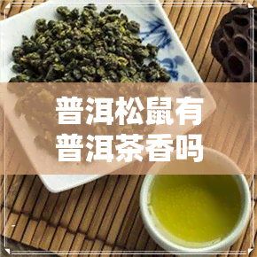 普洱松鼠有普洱茶香吗-松鼠小普洱是什么松鼠