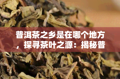 普洱茶之乡是在哪个地方，探寻茶叶之源：揭秘普洱茶之乡的地理位置