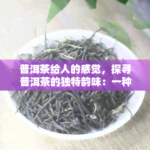 普洱茶给人的感觉，探寻普洱茶的独特韵味：一种深入人心的感官体验