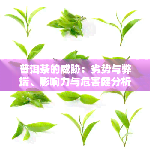 普洱茶的：劣势与弊端、影响力与危害健分析