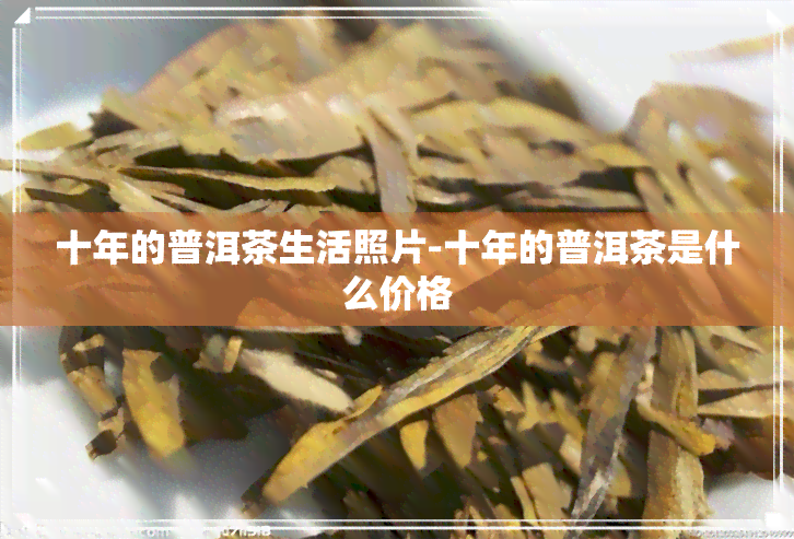 十年的普洱茶生活照片-十年的普洱茶是什么价格