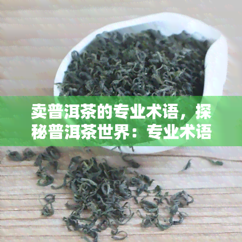 卖普洱茶的专业术语，探秘普洱茶世界：专业术语解读与品鉴技巧