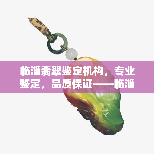 临淄翡翠鉴定机构，专业鉴定，品质保证——临淄翡翠鉴定机构