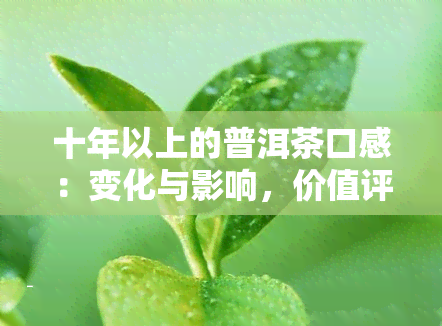 十年以上的普洱茶口感：变化与影响，价值评估与功效解析