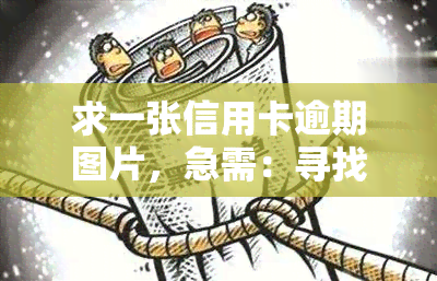 求一张信用卡逾期图片，急需：寻找一张信用卡逾期的图片