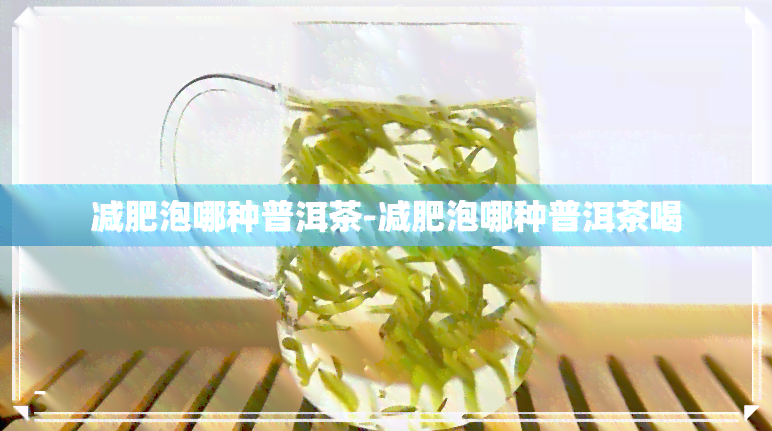 减肥泡哪种普洱茶-减肥泡哪种普洱茶喝