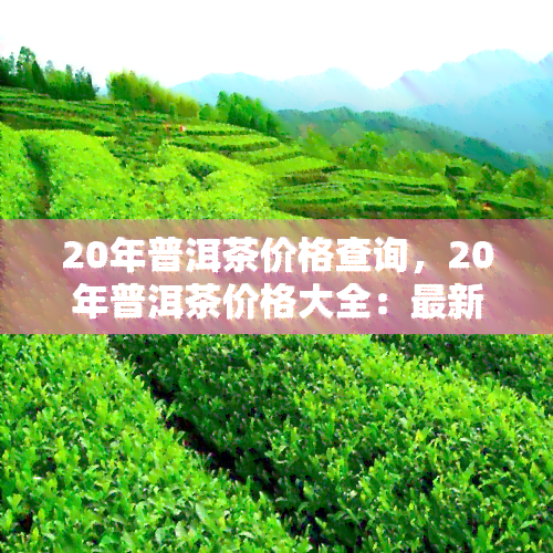 20年普洱茶价格查询，20年普洱茶价格大全：最新市场价格及趋势分析