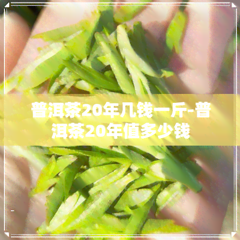 普洱茶20年几钱一斤-普洱茶20年值多少钱