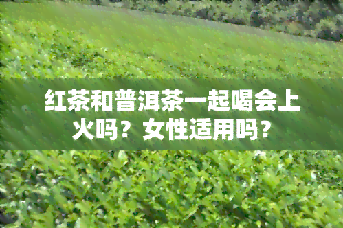 红茶和普洱茶一起喝会上火吗？女性适用吗？