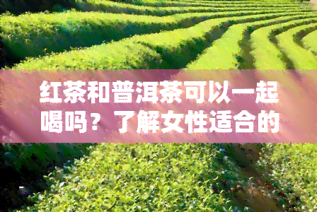 红茶和普洱茶可以一起喝吗？了解女性适合的饮品搭配