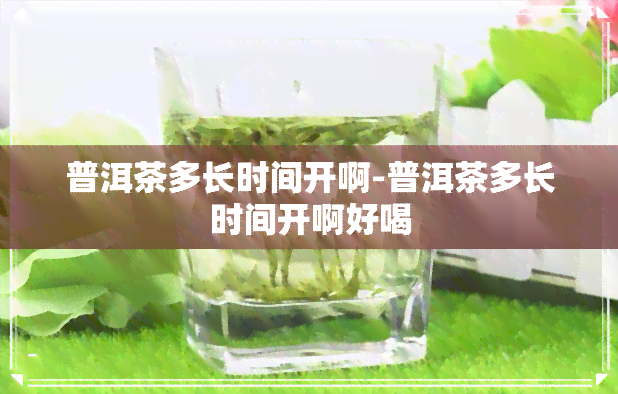 普洱茶多长时间开啊-普洱茶多长时间开啊好喝