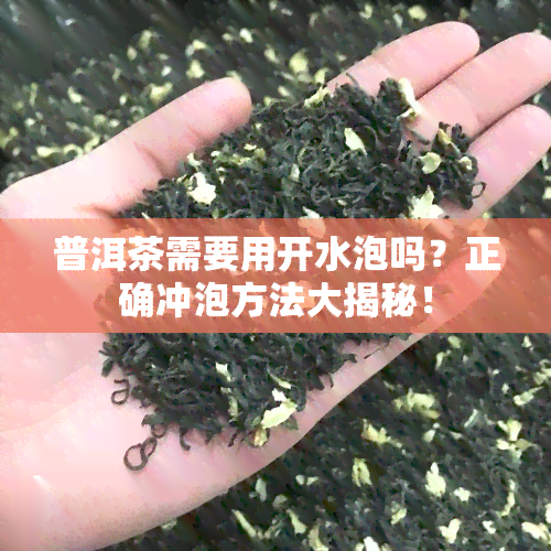 普洱茶需要用开水泡吗？正确冲泡方法大揭秘！