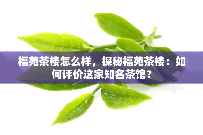 福苑茶楼怎么样，探秘福苑茶楼：如何评价这家知名茶馆？