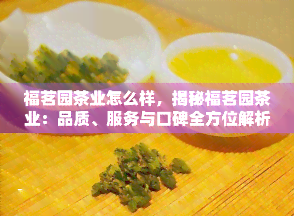 福茗园茶业怎么样，揭秘福茗园茶业：品质、服务与口碑全方位解析