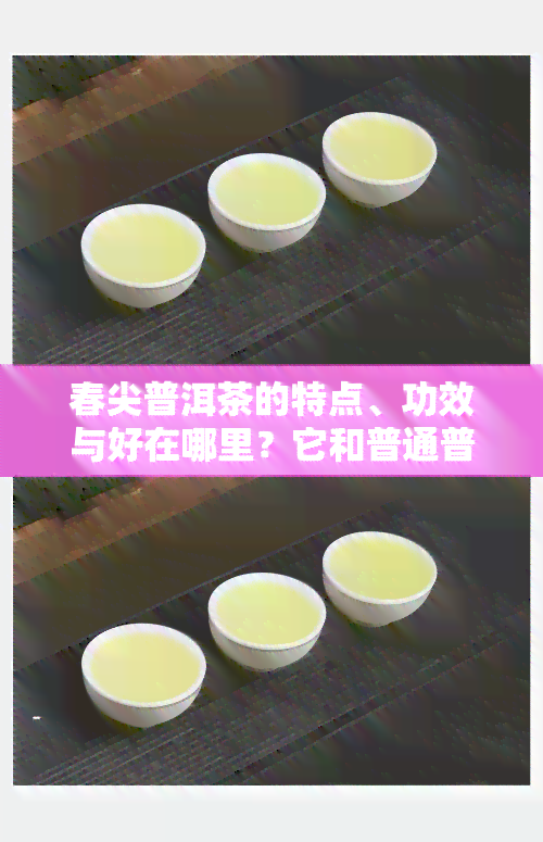 春尖普洱茶的特点、功效与好在哪里？它和普通普洱茶有何不同？