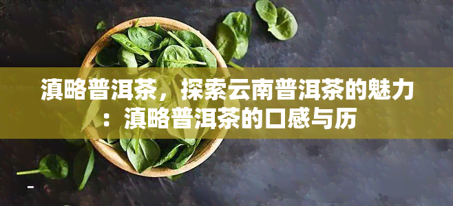 滇略普洱茶，探索云南普洱茶的魅力：滇略普洱茶的口感与历