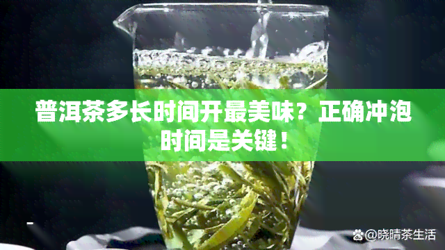 普洱茶多长时间开最美味？正确冲泡时间是关键！