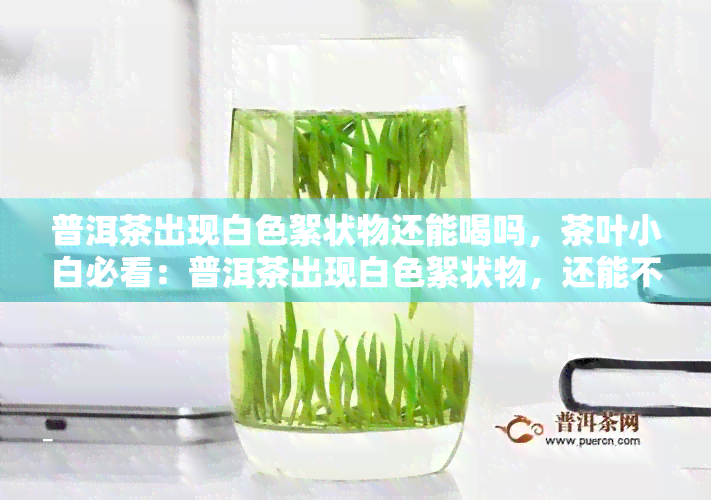 普洱茶出现白色絮状物还能喝吗，茶叶小白必看：普洱茶出现白色絮状物，还能不能继续饮用？