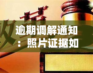 逾期调解通知：照片证据如何提交至村委？退订方式及书写例