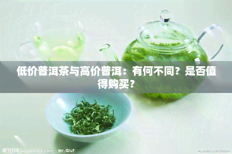 低价普洱茶与高价普洱：有何不同？是否值得购买？