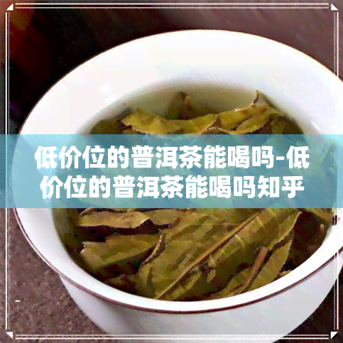 低价位的普洱茶能喝吗-低价位的普洱茶能喝吗知乎