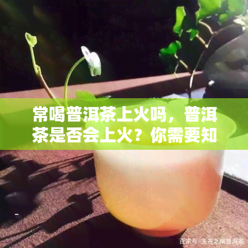 常喝普洱茶上火吗，普洱茶是否会上火？你需要知道的答案