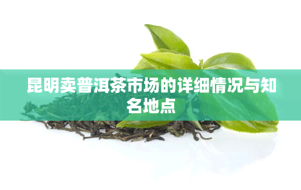 昆明卖普洱茶市场的详细情况与知名地点