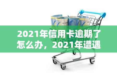 2021年信用卡逾期了怎么办，2021年遭遇信用卡逾期，如何应对？