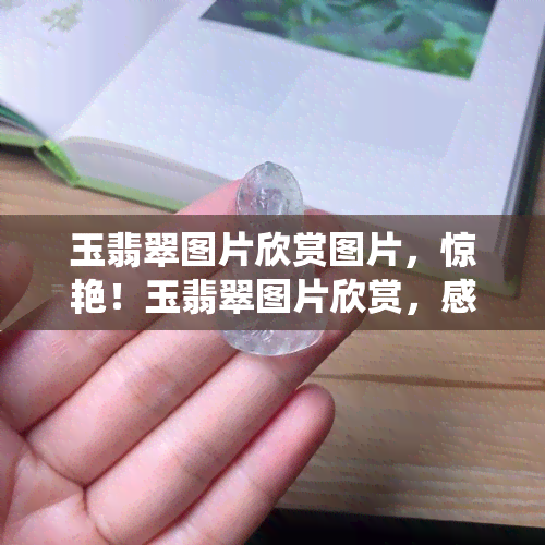 玉翡翠图片欣赏图片，惊艳！玉翡翠图片欣赏，感受大自然的鬼斧神工之美