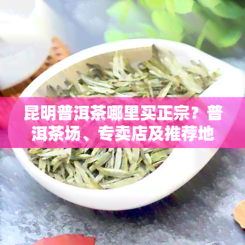 昆明普洱茶哪里买正宗？普洱茶场、专卖店及推荐地点全在这！