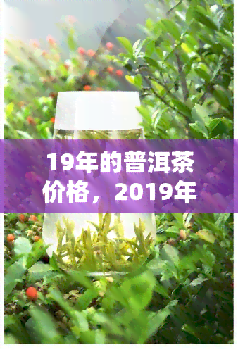 19年的普洱茶价格，2019年普洱茶市场价格分析与趋势预测