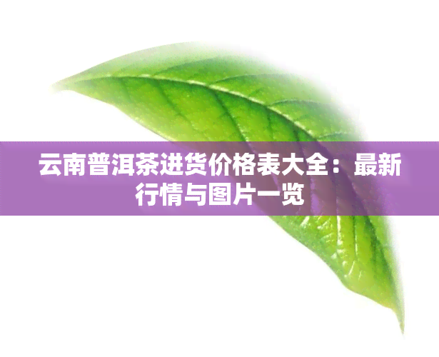 云南普洱茶进货价格表大全：最新行情与图片一览