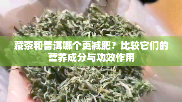 藏茶和普洱哪个更减肥？比较它们的营养成分与功效作用