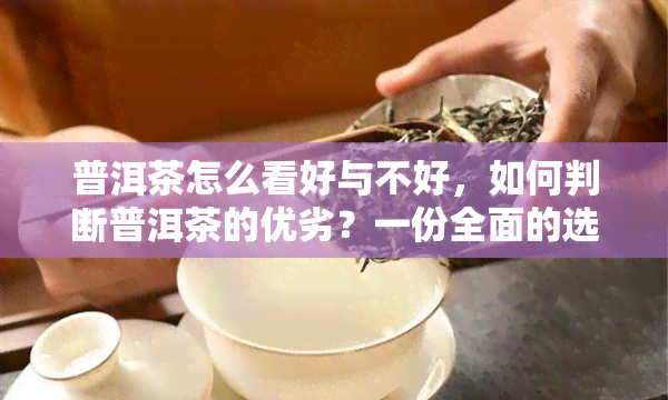 普洱茶怎么看好与不好，如何判断普洱茶的优劣？一份全面的选购指南