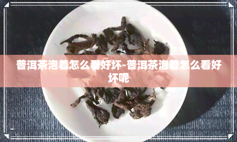 普洱茶泡着怎么看好坏-普洱茶泡着怎么看好坏呢