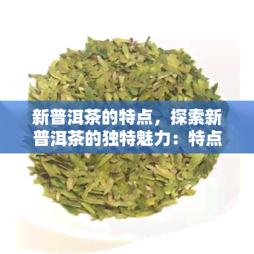 新普洱茶的特点，探索新普洱茶的独特魅力：特点解析与品鉴指南