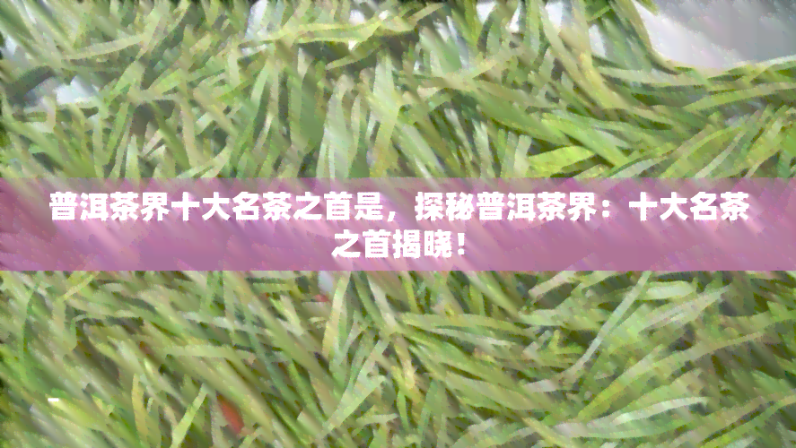 普洱茶界十大名茶之首是，探秘普洱茶界：十大名茶之首揭晓！